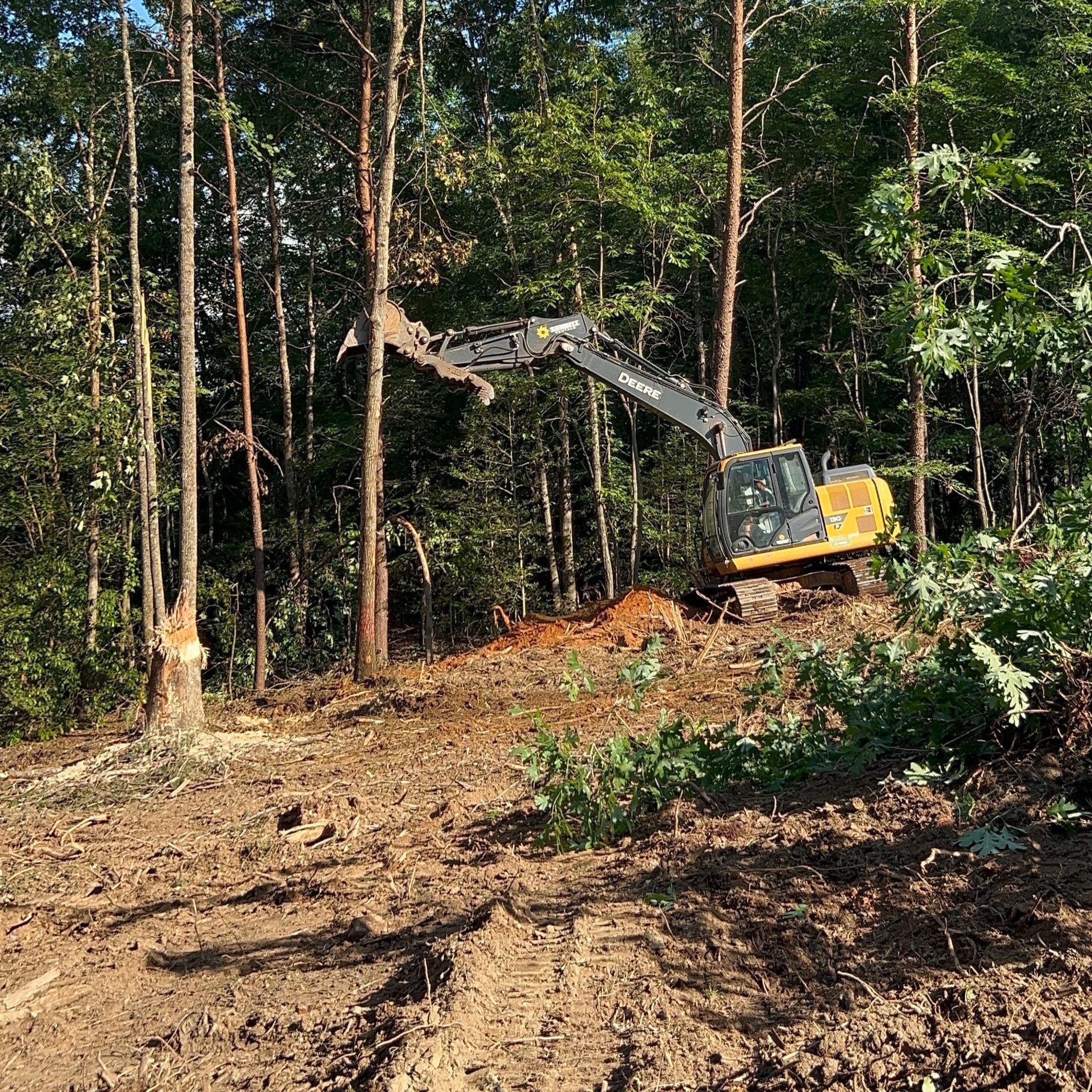 Land clearing in progress