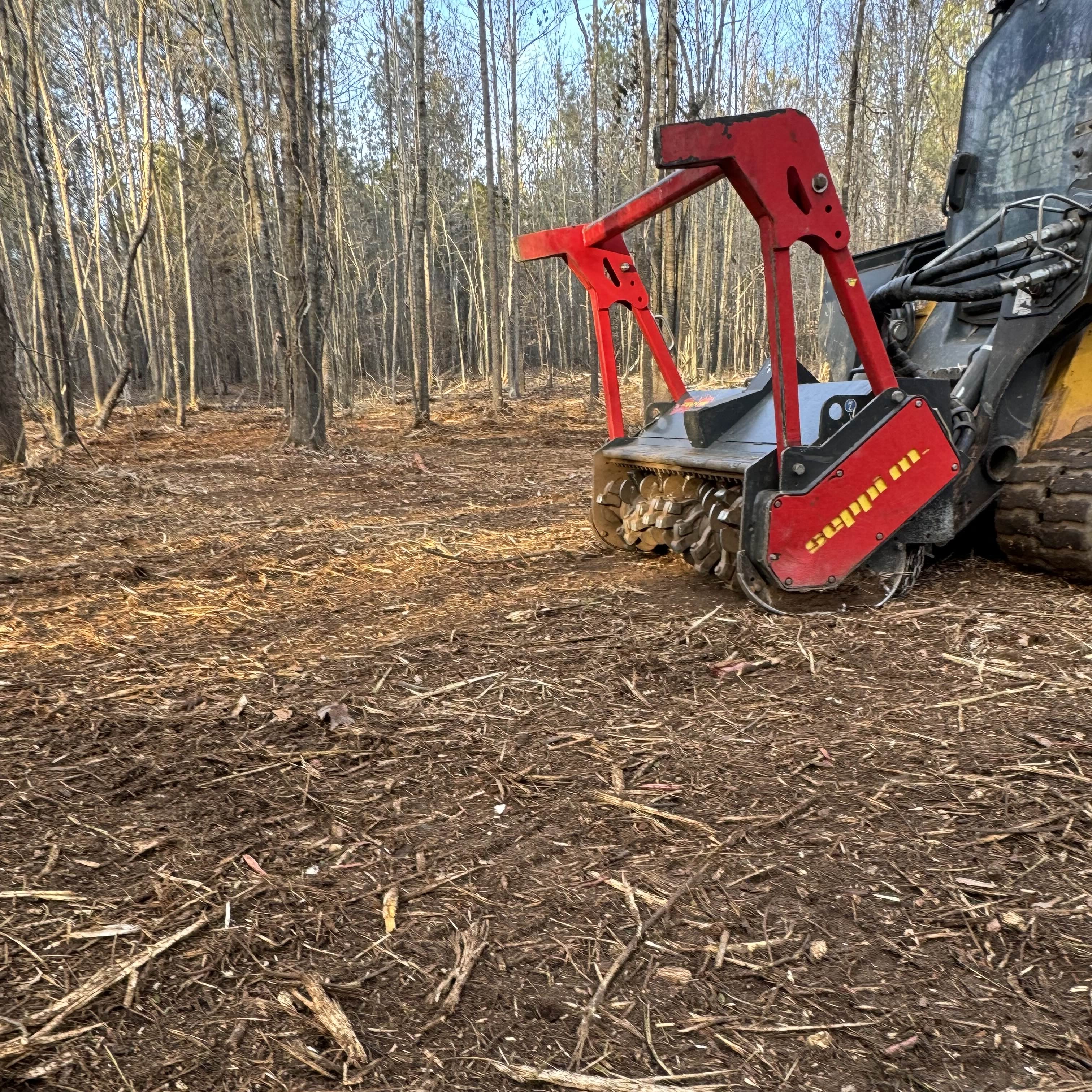 Finished mulched area